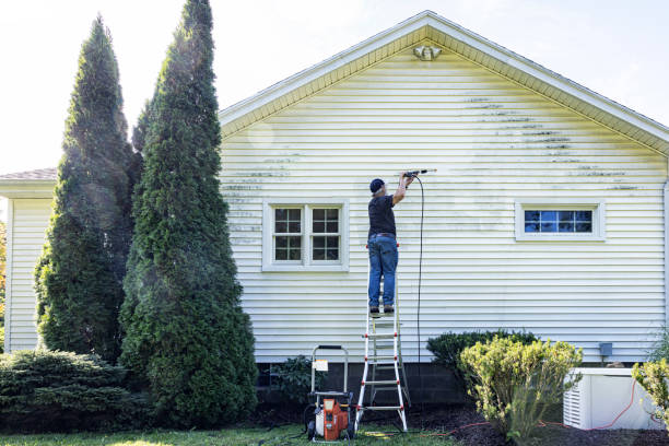 Best House Pressure Washing  in Valdez, AK