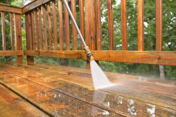 Best Roof Pressure Washing  in Valdez, AK